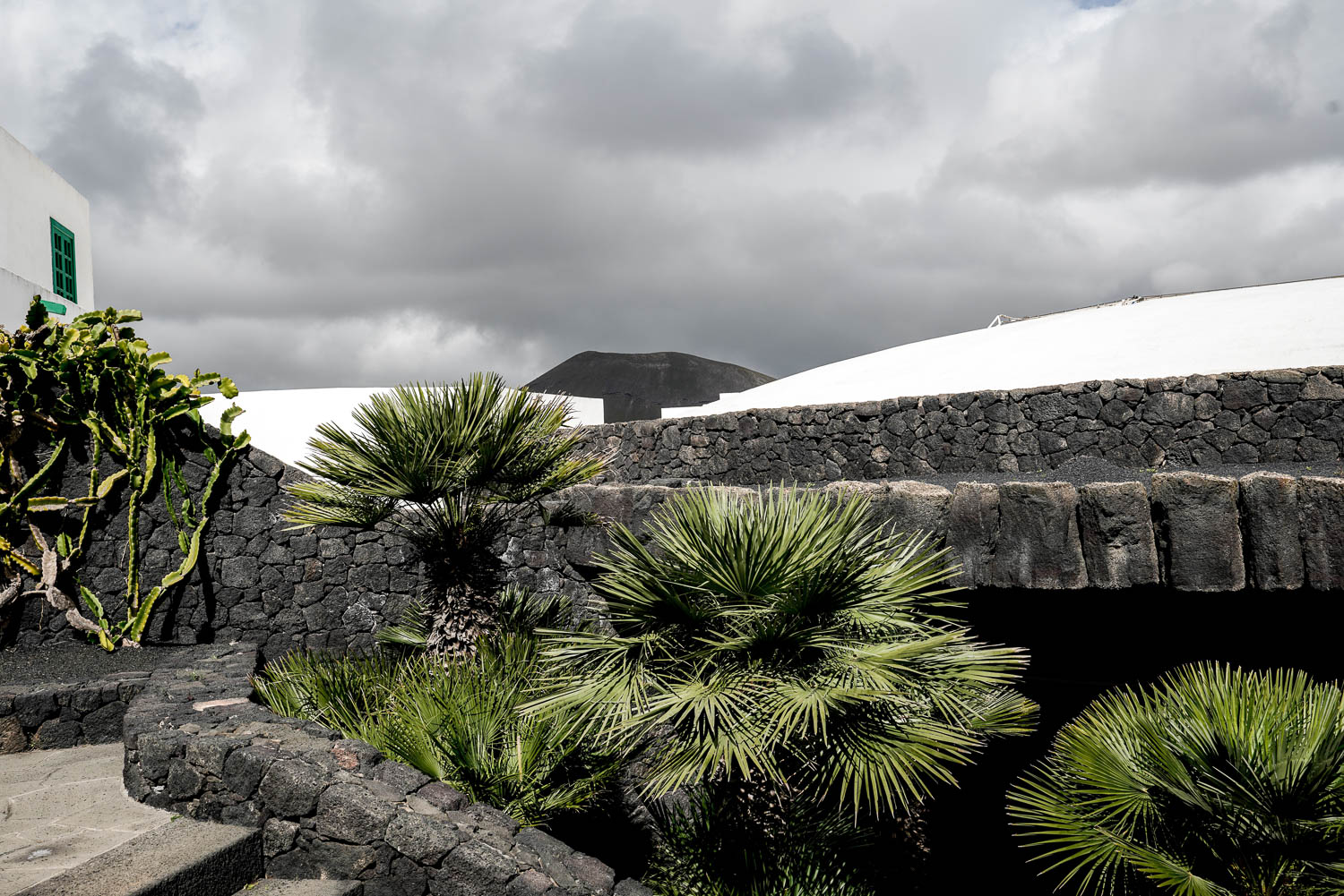 Lávová zeď s kaktusy a siluetou vulkánu v pozadí – tradiční barevná paleta Lanzarote