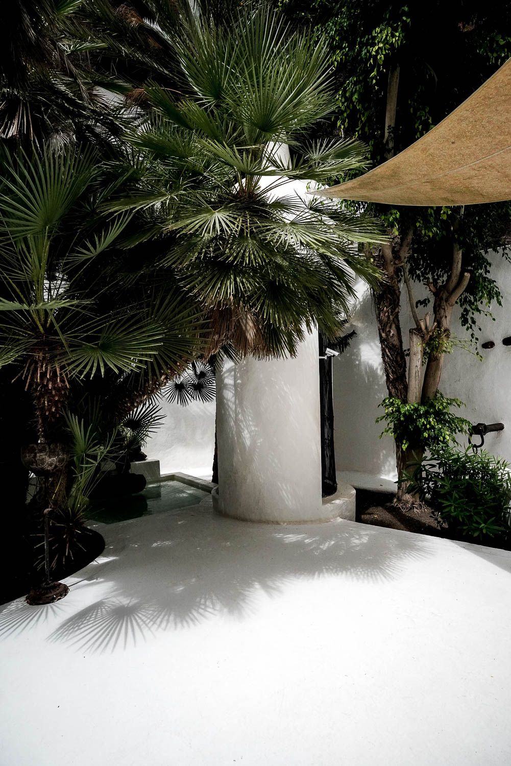 Bílý dvorek s palmami v Jameos del Agua – ikonické architektonické dílo Césara Manriqueho na Lanzarote