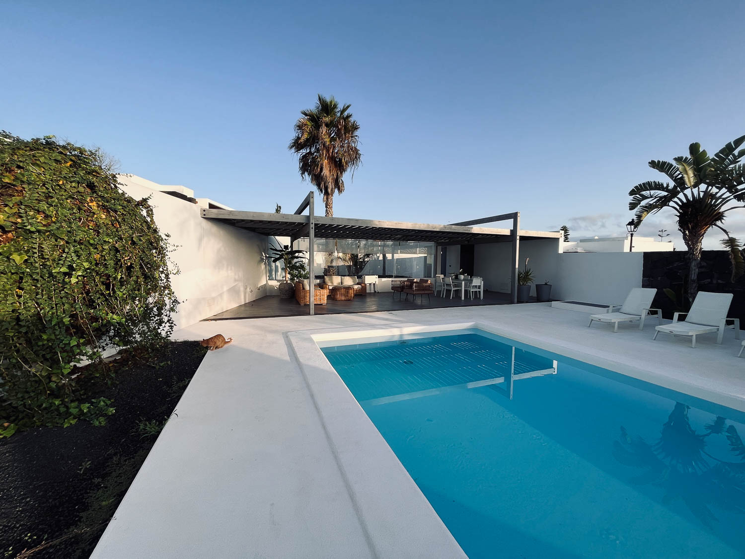 Moderní bílá vila s bazénem, krytou terasou s ratanovým nábytkem a kočkou u bazénu, Playa Blanca, Lanzarote