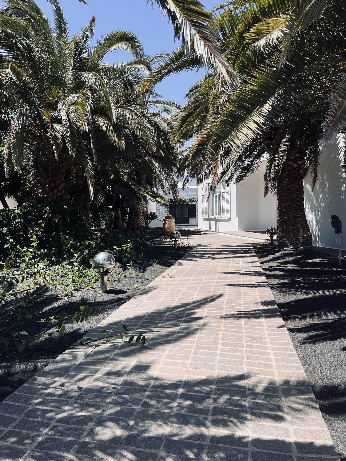 Příjezdová alej resortu v oblasti Teguise s palmami lemujícími cestu k bílé vile, Lanzarote