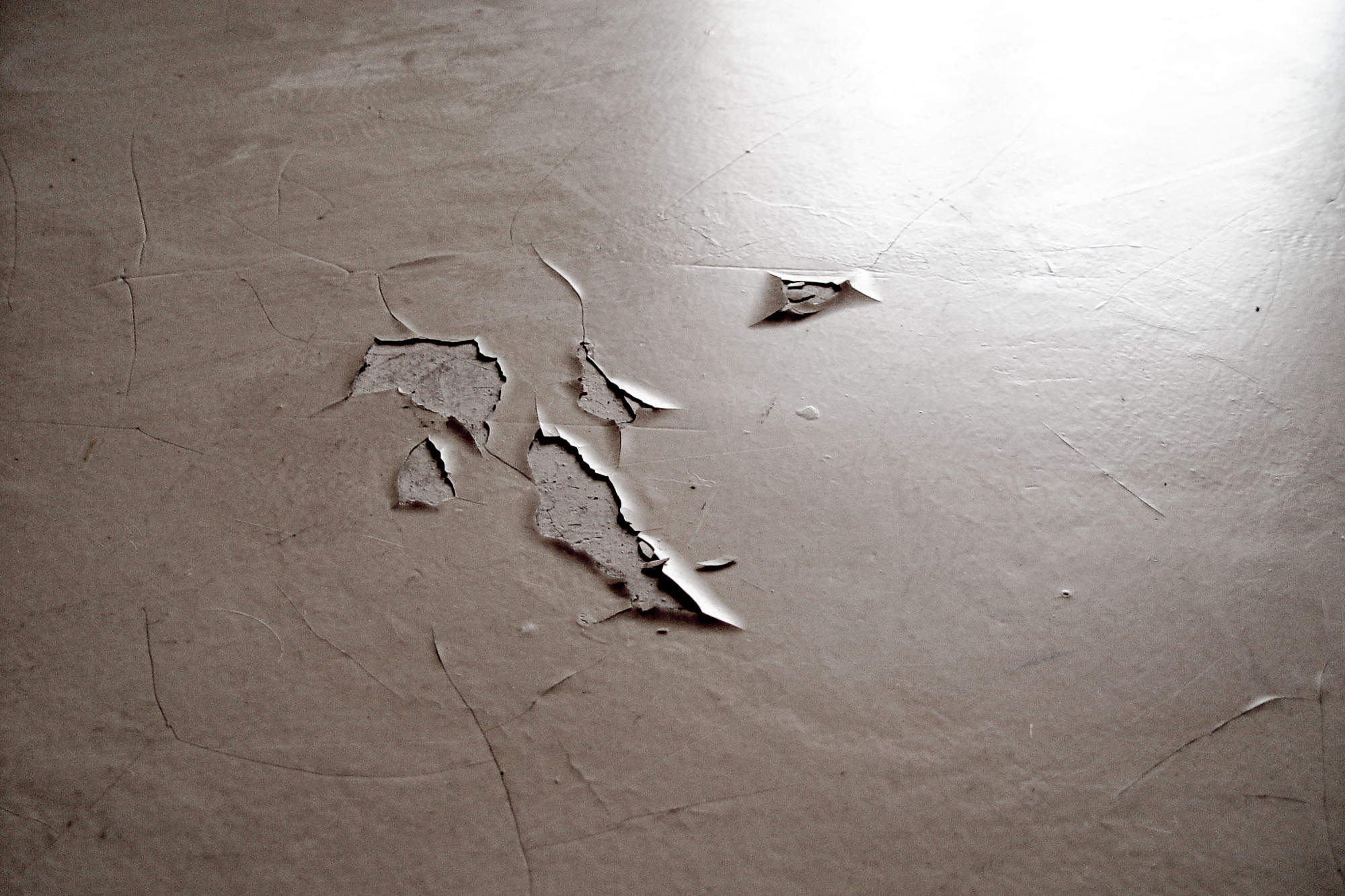 Image - (Blog) Why we still like concrete microtoppings after more than twenty years - 4