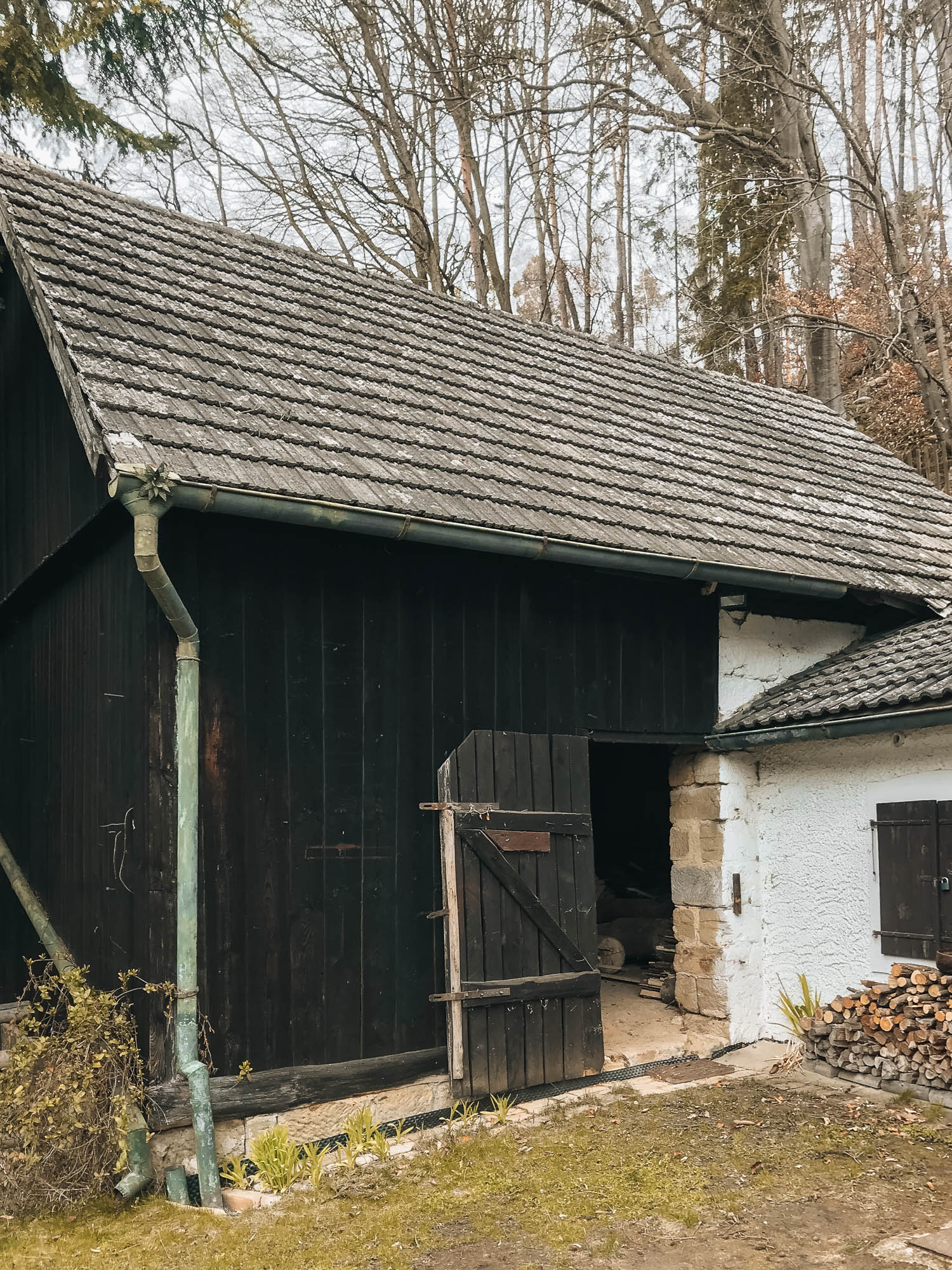 Exteriér malé dřevěné stodoly před rekonstrukcí — svislé tmavé prkenné opláštění, tradiční tašková střecha a dřevěné dveře v lesním prostředí