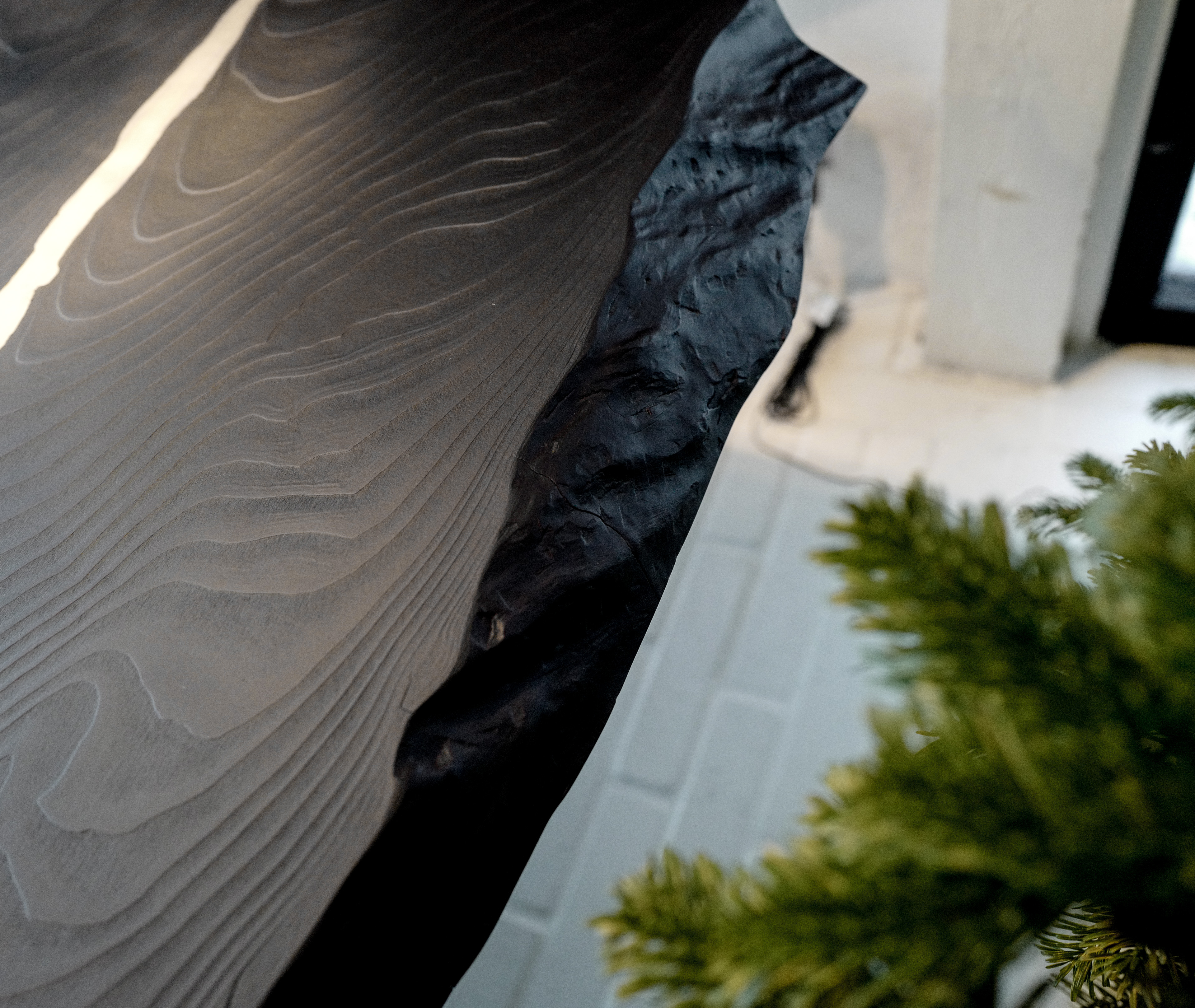 Image - (Gallery) Black Sequoia with Tin