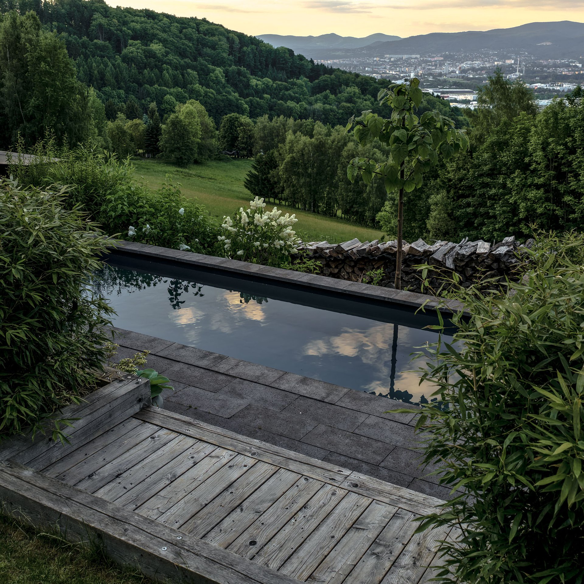 BOX barn conversion — view to the forest landscape, pool on the slope | OOOOX