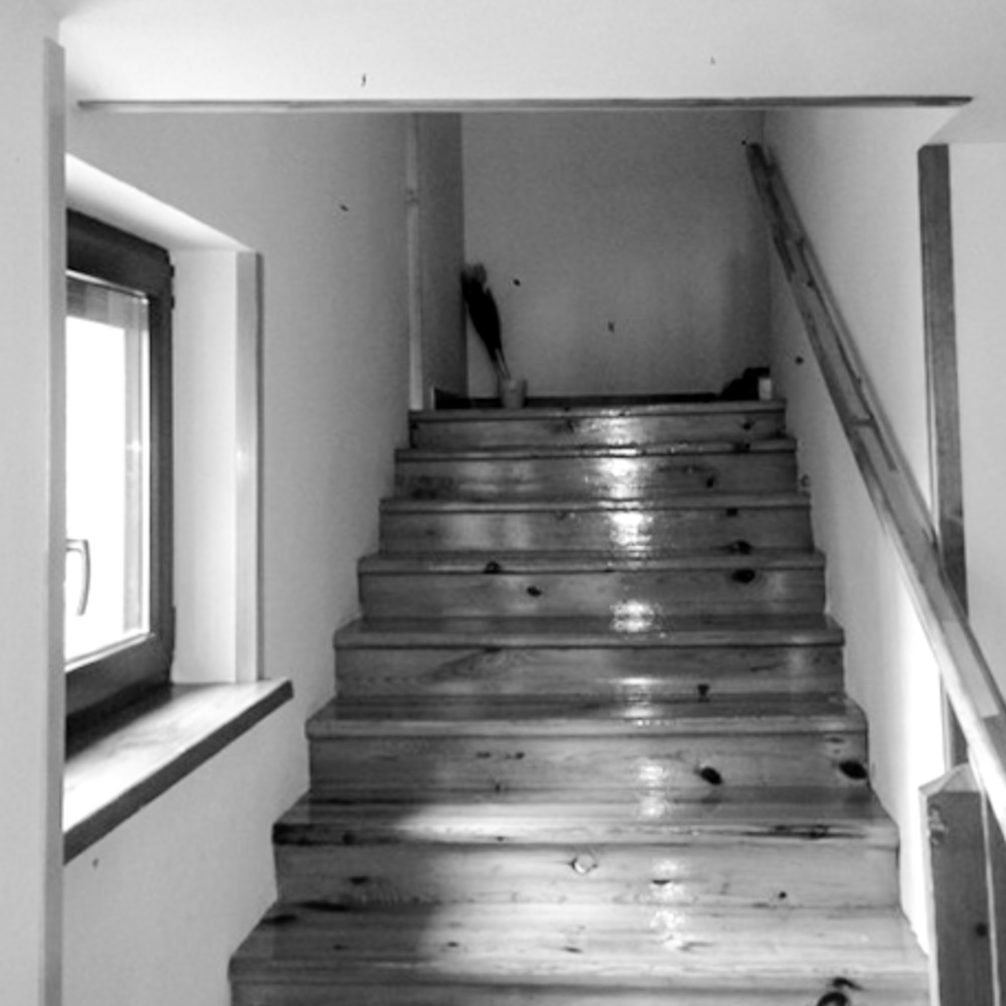 Image - (Portfolio) KLÁNOVICE Family House - 42
