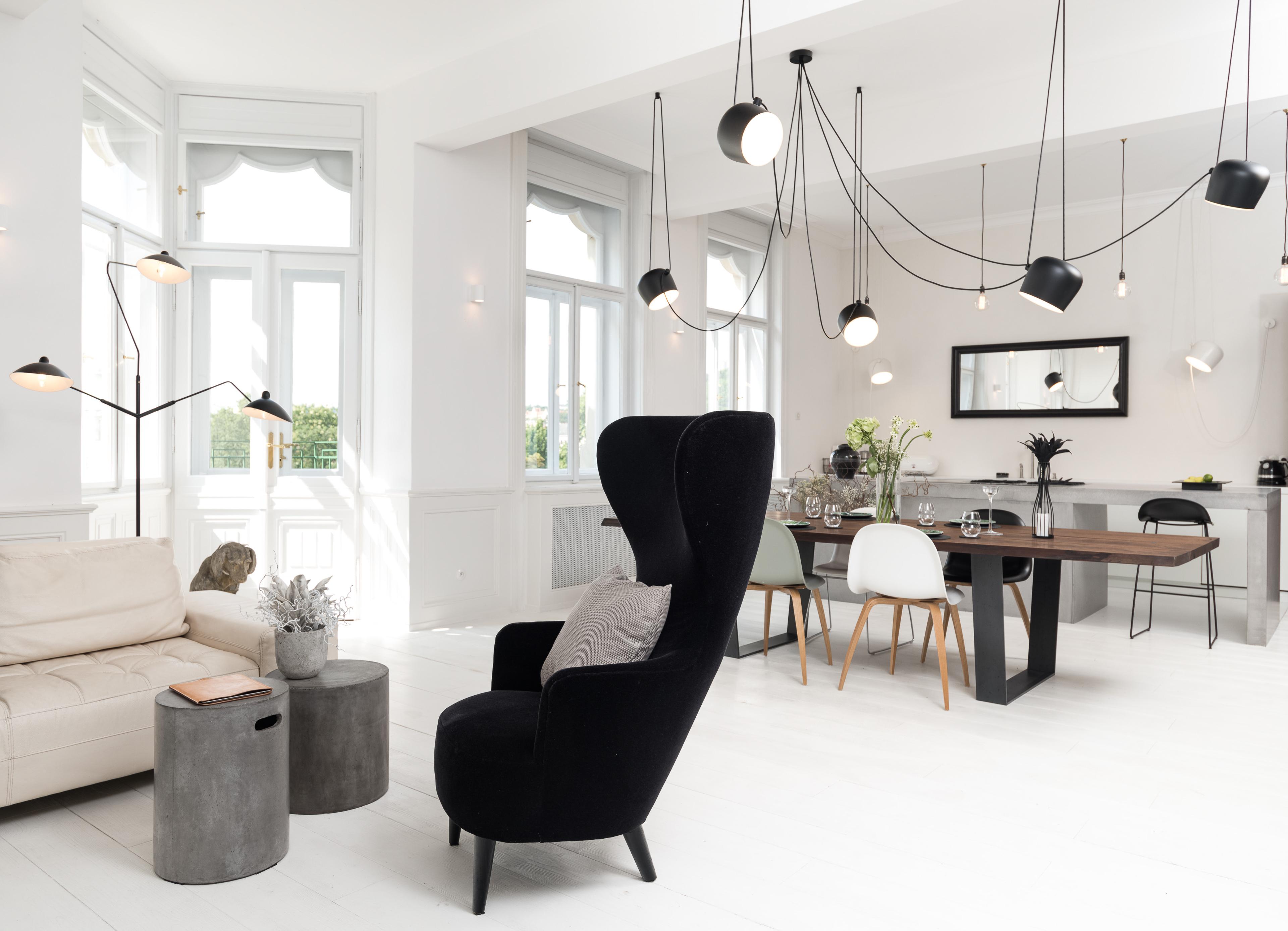 Image - (Gallery) Living room with an earwig