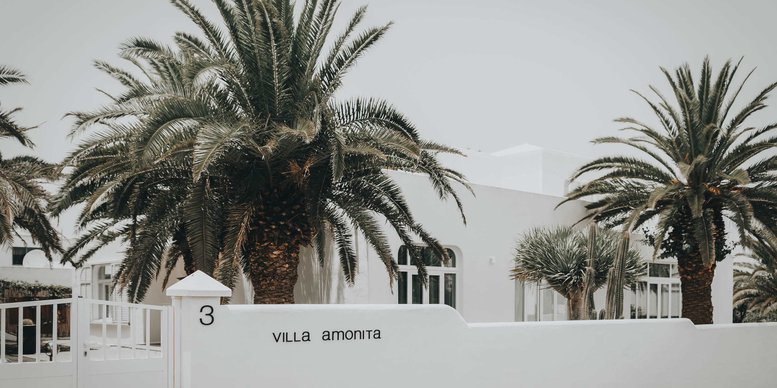 Vstupní brána s nápisem "Villa Amonita" na bílé omítnuté zdi, vzrostlé palmy v pozadí, lanzarotská bílá architektura. OOOOX