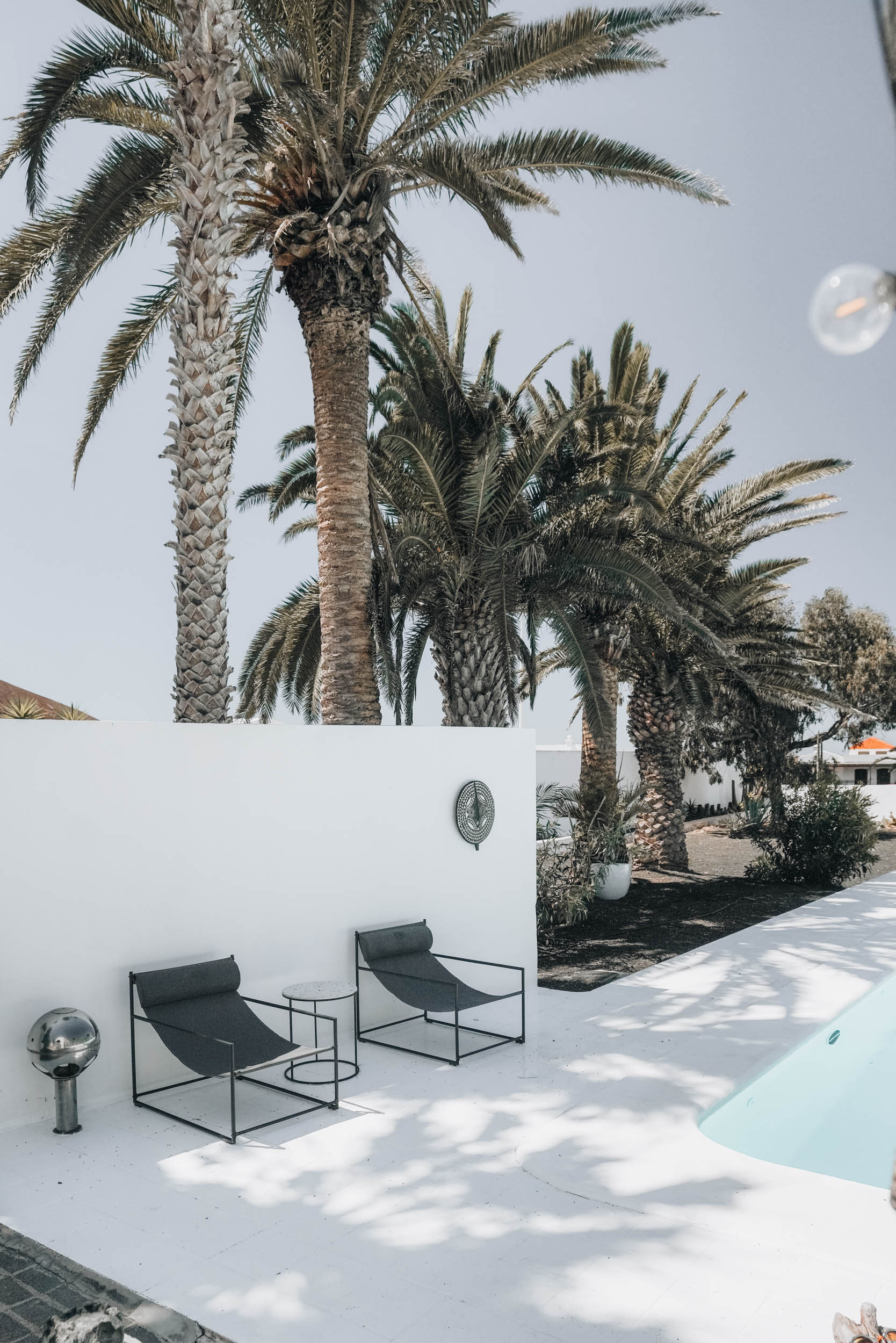 Dvě šedá lenoška u bazénu, palmy a bílá zeď v pozadí, slunný den na Lanzarote. OOOOX